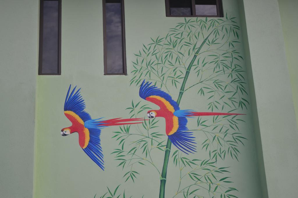 Mavi Surf Hotel Dominical Exterior foto